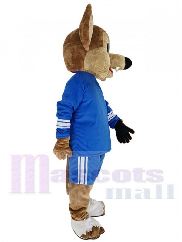 Coyote Loup costume de mascotte