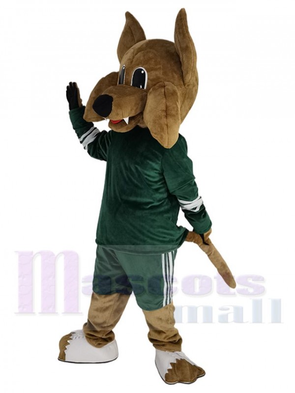 Coyote Loup costume de mascotte