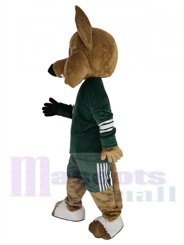 Coyote Loup costume de mascotte