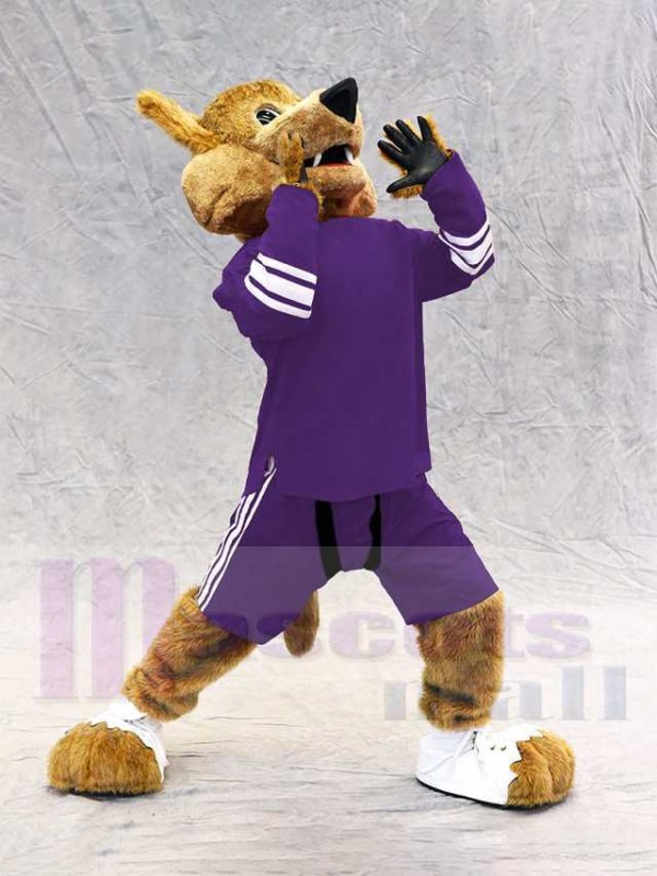 Coyote Loup costume de mascotte