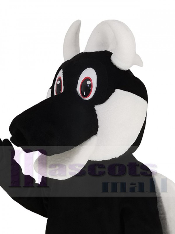 Dragon costume de mascotte
