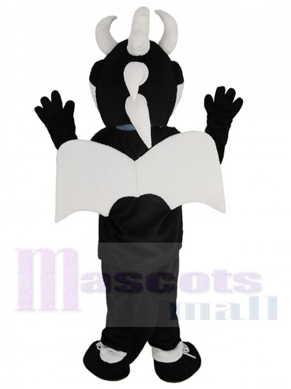 Dragon costume de mascotte