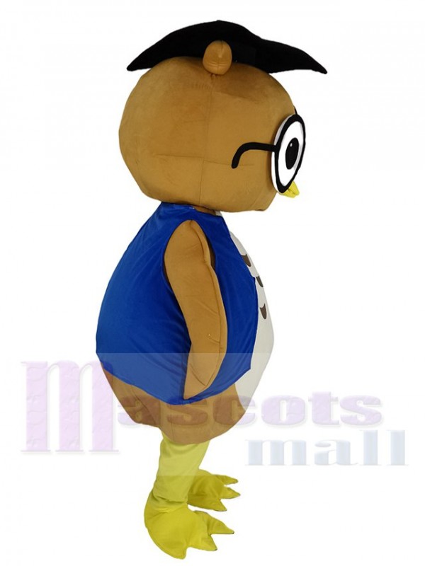 Chouette maskottchen kostüm