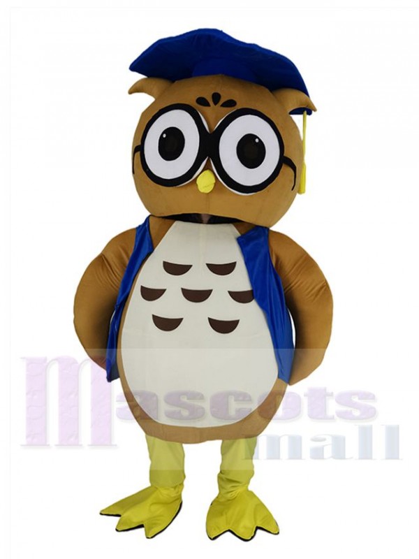 Chouette maskottchen kostüm