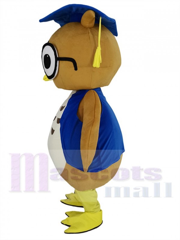 Chouette maskottchen kostüm