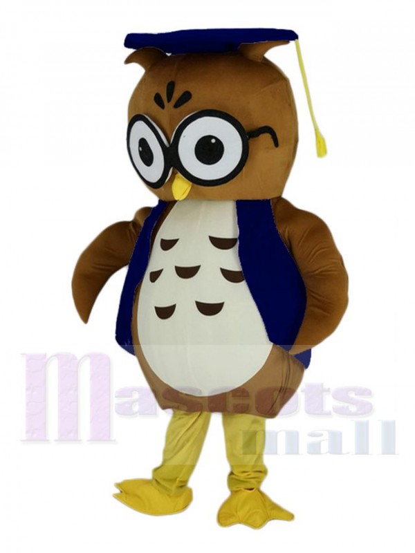 Chouette maskottchen kostüm