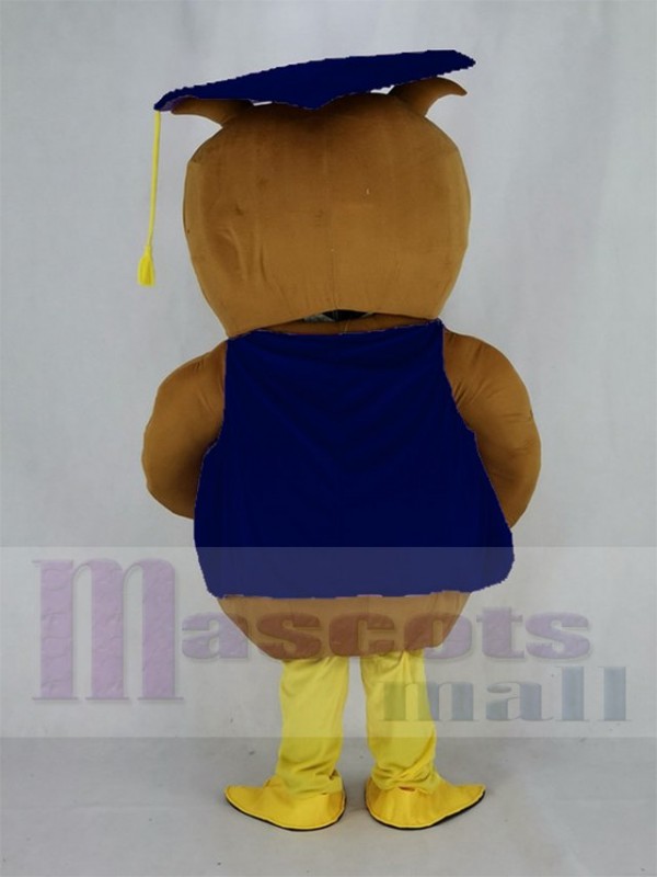 Chouette maskottchen kostüm