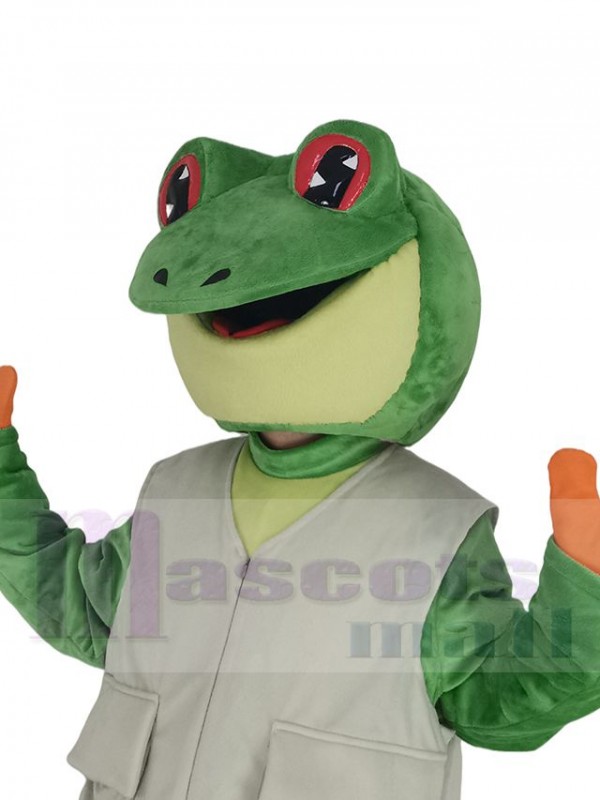 Grenouille costume de mascotte