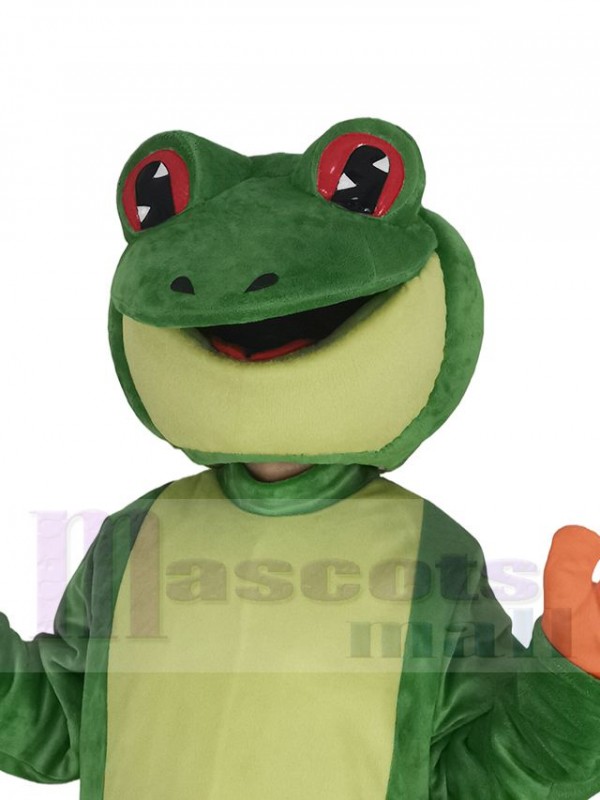 Grenouille costume de mascotte