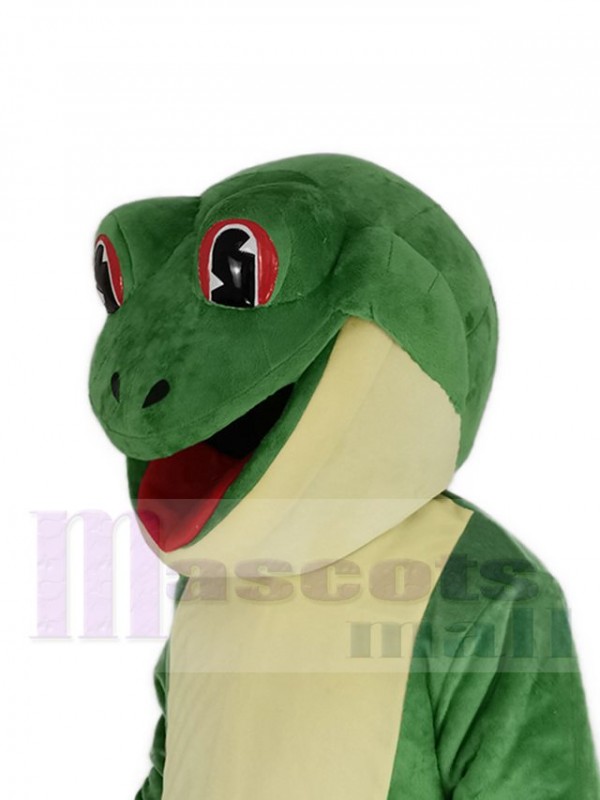 Grenouille costume de mascotte