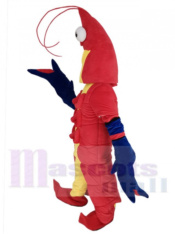 Crevette costume de mascotte
