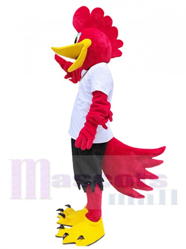 Roadrunner Oiseau costume de mascotte