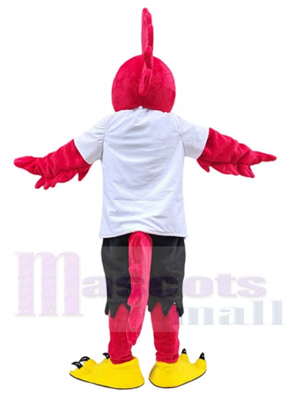 Roadrunner Oiseau costume de mascotte