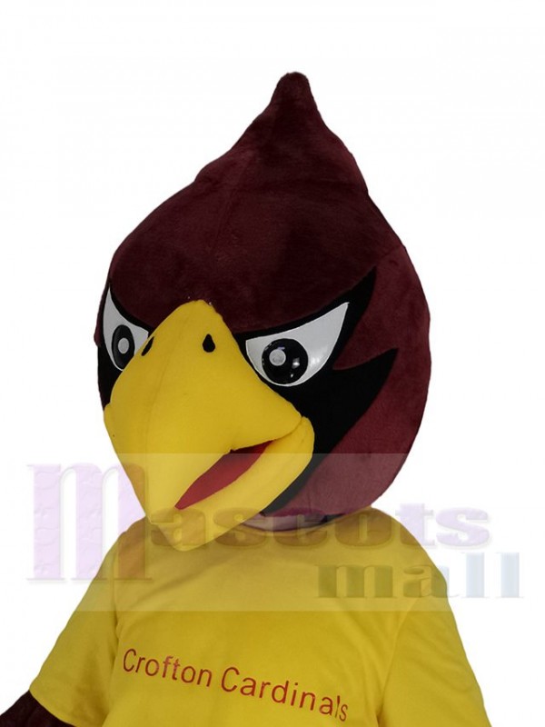 Cardinal costume de mascotte