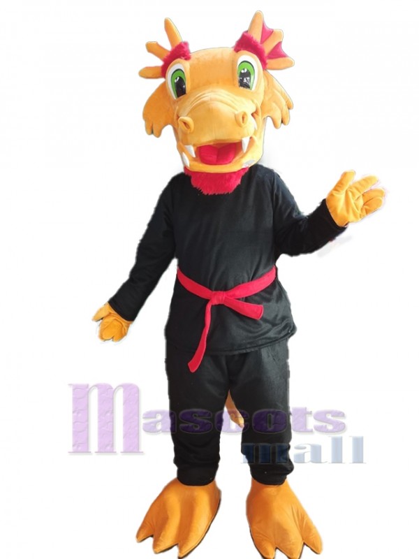Dragon costume de mascotte