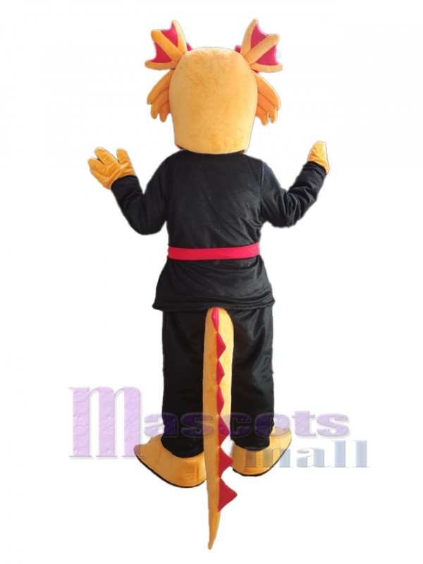 Dragon costume de mascotte