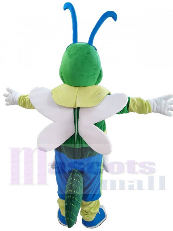 luciole costume de mascotte
