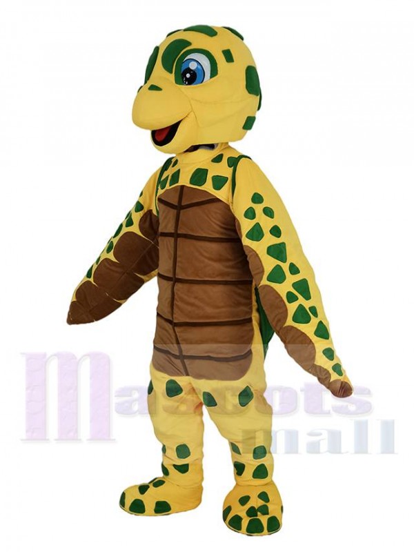 Tortue maskottchen kostüm