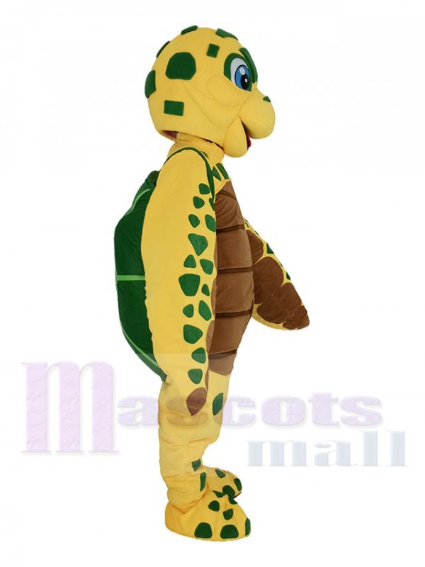 Tortue maskottchen kostüm