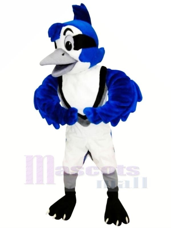 Mignonne Bleu Geai Mascotte Les costumes Animal