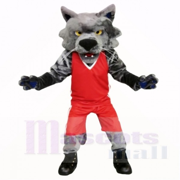 Chat de sport avec une chemise rouge école de costumes de mascotte