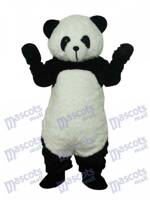 Panda en peluche Costume adulte de mascotte