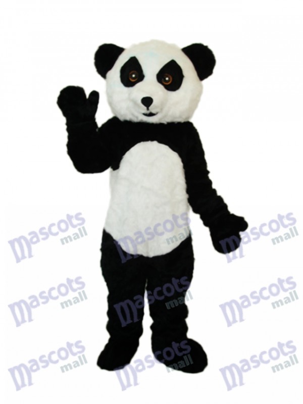 Panda en peluche Costume adulte de mascotte