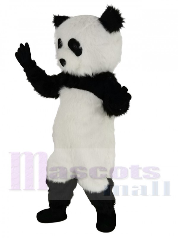 Panda costume de mascotte