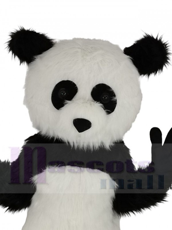 Panda costume de mascotte