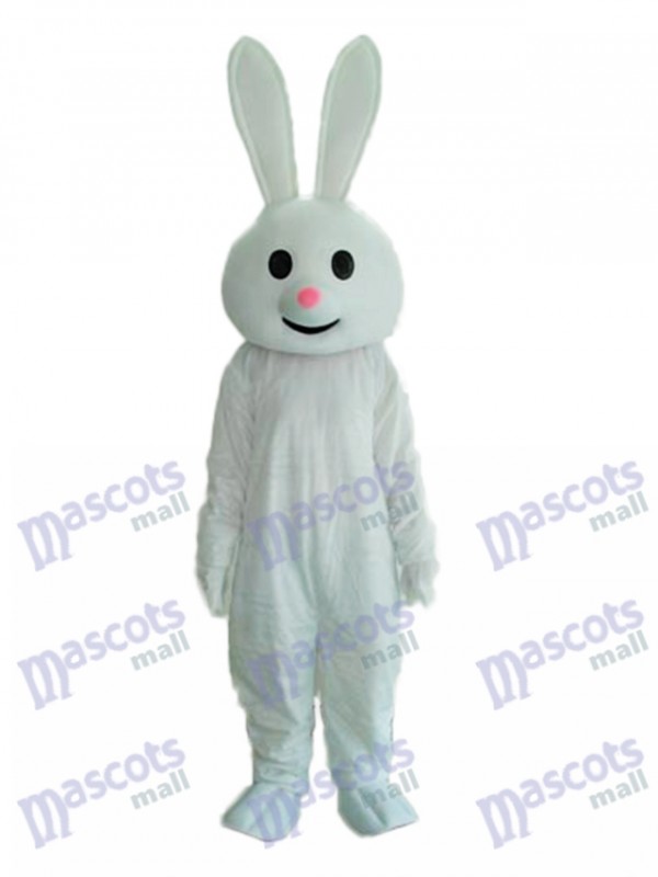 Costume adulte de mascotte de lapin rose de Pâques de Pâques Animal