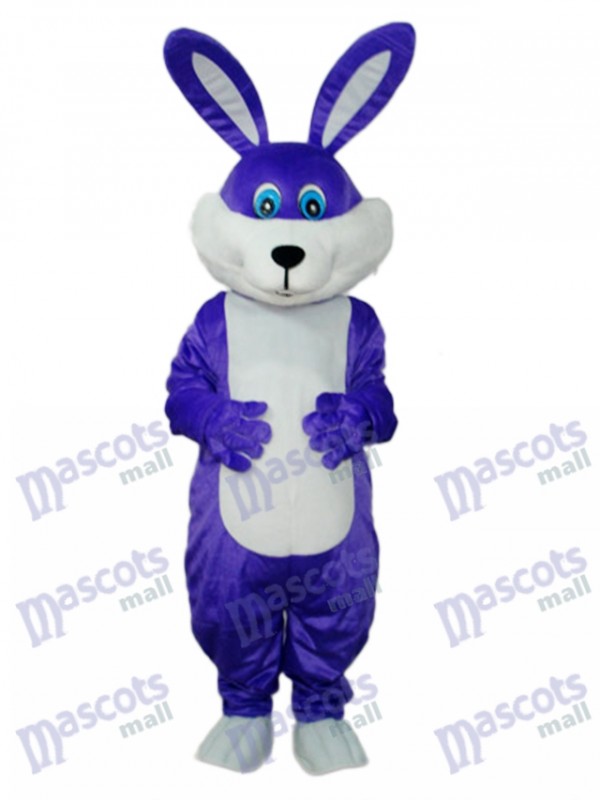 Costume adulte de mascotte de lapin pourpre de Pâques Animal