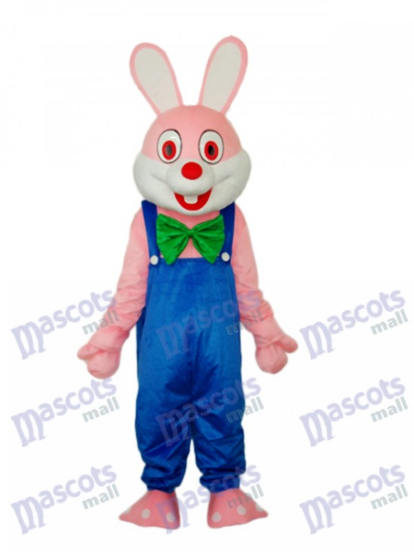 Costume adulte Mascotte de lapin de Pâques Robbie Animal
