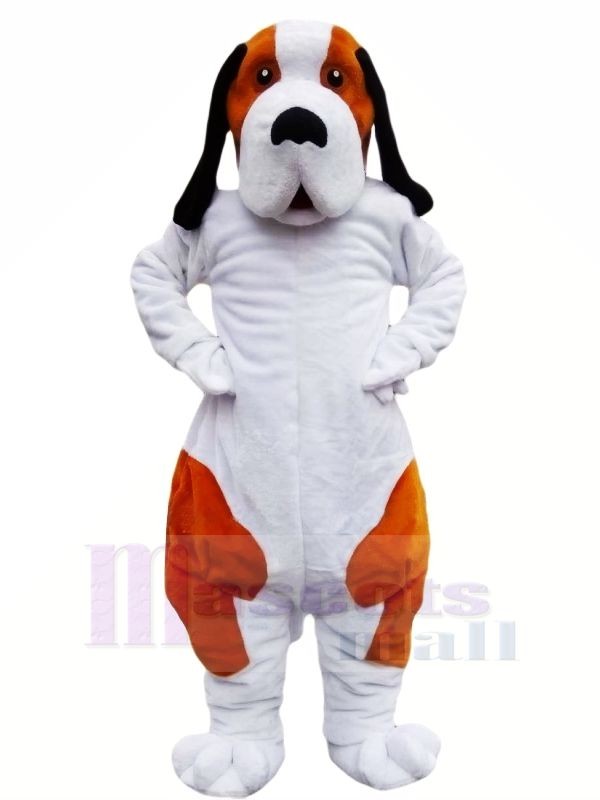 marron et blanc Bernard Chien Mascotte Les costumes Animal