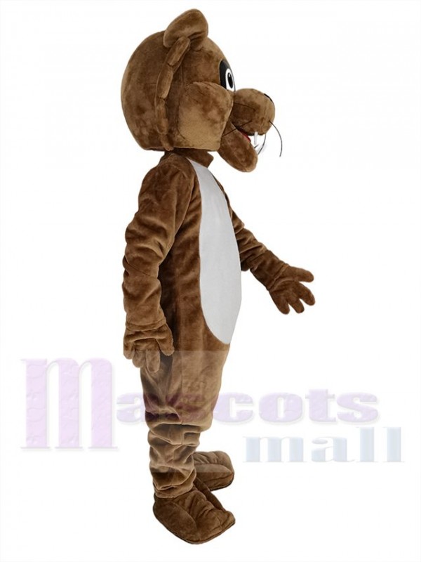 Couguar costume de mascotte