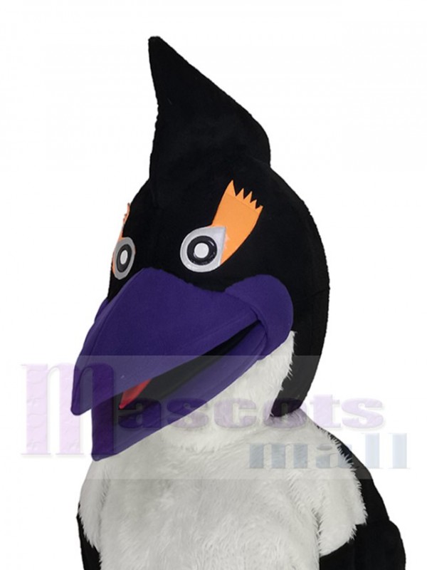 Oiseau pic costume de mascotte