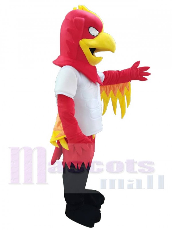 Aigle costume de mascotte