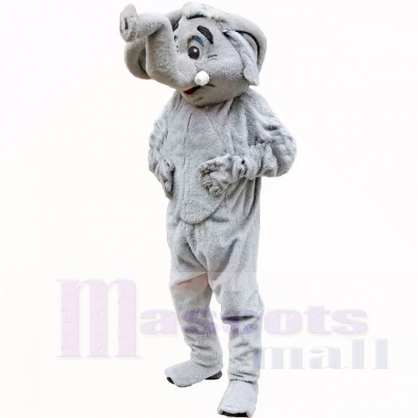 Gris l'éléphant Costumes De Mascotte Adulte