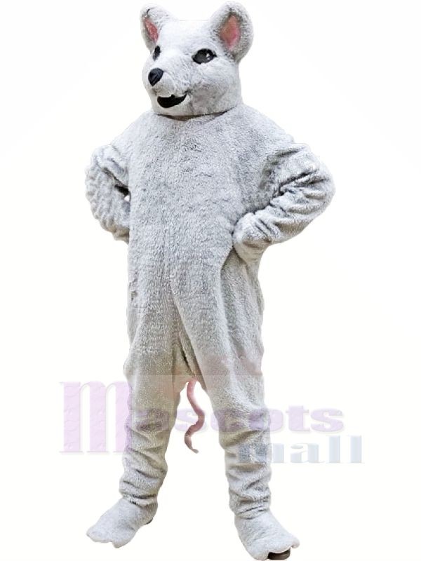 blanc Rongeur Mascotte Les costumes Dessin animé