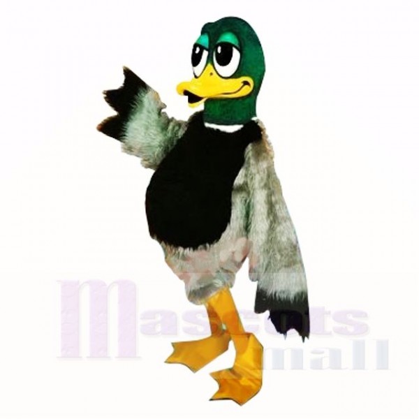 vert Velu canard Costumes De Mascotte Dessin animé