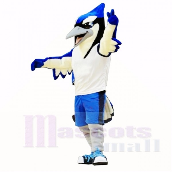 Mascotte sport oiseau bleu et noir école de costumes