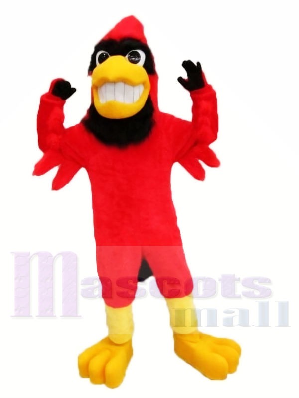 Fort rouge Cardinal Mascotte Les costumes Animal