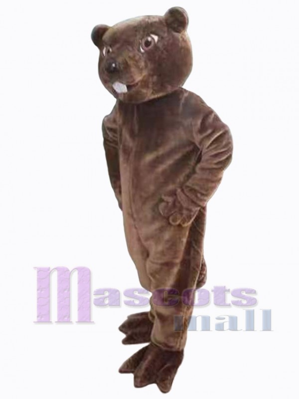 Castor costume de mascotte