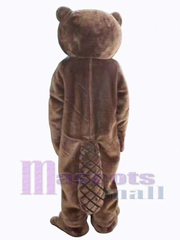 Castor costume de mascotte