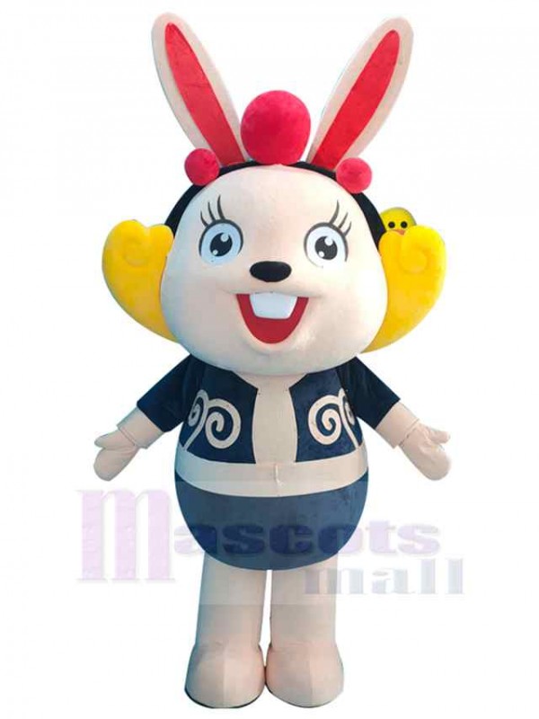 Lapin costume de mascotte