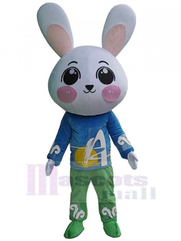 Lapin costume de mascotte