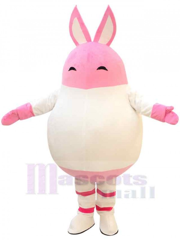 Lapin costume de mascotte