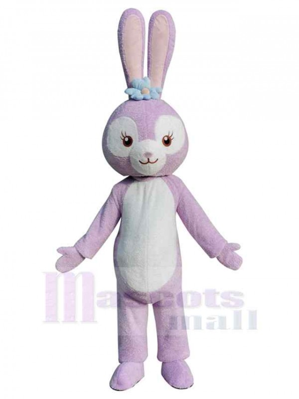 Lapin costume de mascotte