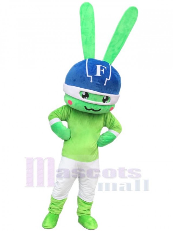 Lapin costume de mascotte
