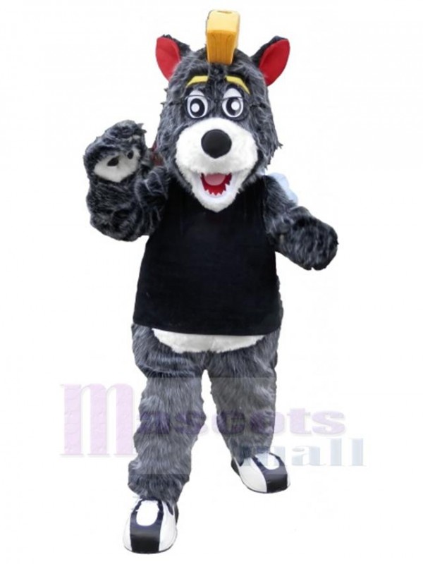 Ours costume de mascotte