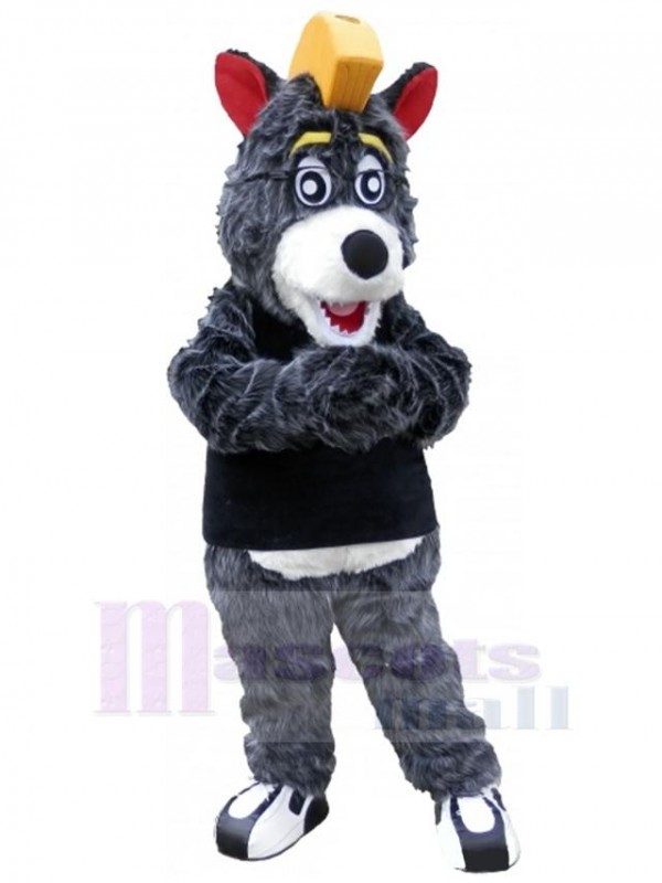 Ours costume de mascotte